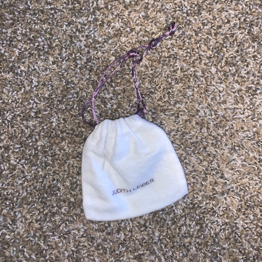 Authentic Judith Leiber Small Dustbag - Picture 3 of 4